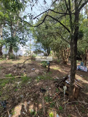 Terreno A Venda Em Uvaranas