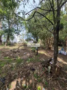 <strong>Terreno a venda em Uvaranas</strong>