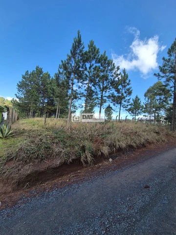 Foto Terreno