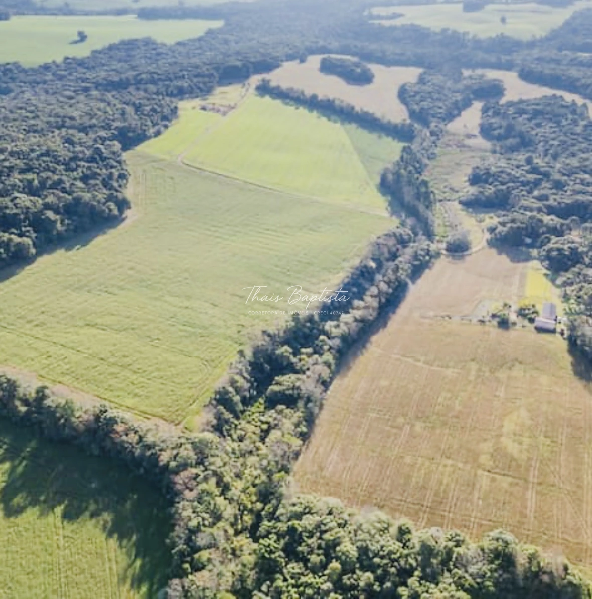 Chácara à Venda - Cará Cará