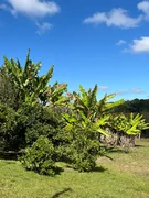 <strong>CHÁCARA À VENDA - CARÁ CARÁ</strong>