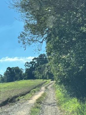 Chácara à Venda - Cará Cará