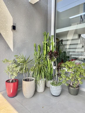 Sobrado à Venda - Oficinas