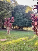 <strong>CHACARA EM GUARAGI - RURAL A VENDA</strong>