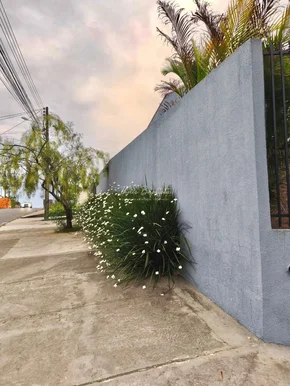 Casa De Esquina à Venda - Vila Panorama