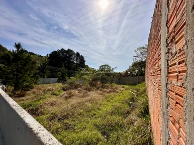 Terreno De Esquina Em ótima Localização - Jd Carvalho