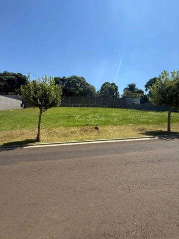 Foto Terreno