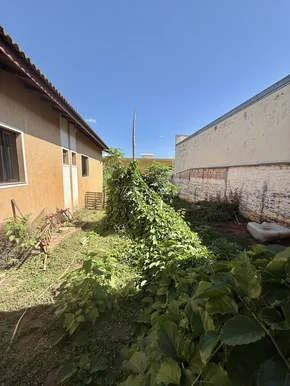 Casa Para Venda/locação - Nova Rússia