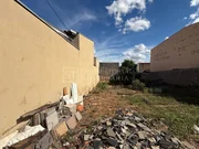 <strong></strong> ()