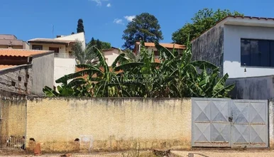 <strong></strong> ()