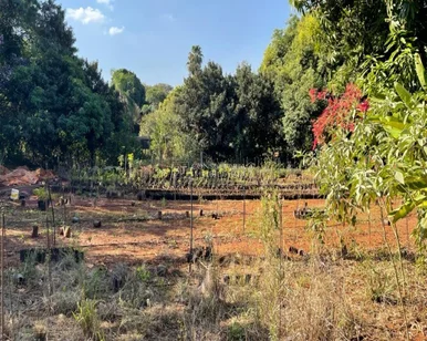 <strong>Chácara a venda em Limeira na rodovia Limeira / Piracicaba!</strong>