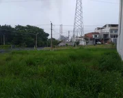 <strong></strong> ()