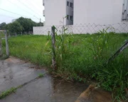 <strong></strong> ()