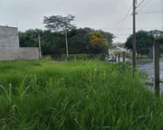 <strong></strong> ()