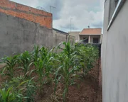 <strong></strong> ()