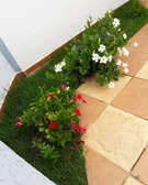 <strong></strong>&nbsp;<small>(3 dormit&oacute;rios sendo 1 su&iacute;te)</small>