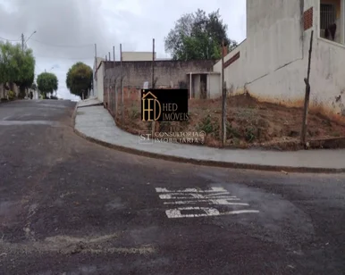 <strong></strong> ()