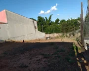 <strong></strong> ()