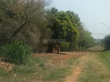 <strong></strong> ()