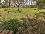 <strong></strong> ()