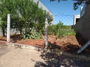 <strong></strong> ()