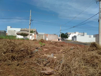 <strong></strong> ()