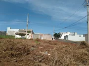 <strong></strong> ()