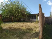 <strong></strong> ()