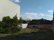 <strong></strong> ()