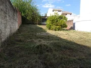 <strong></strong> ()