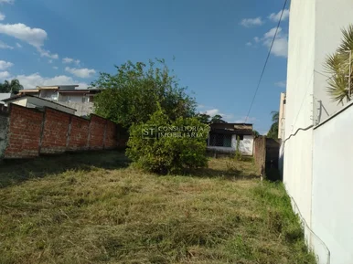 <strong></strong> ()