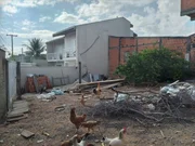 <strong></strong> ()