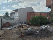 <strong></strong> ()