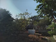 <strong></strong> ()