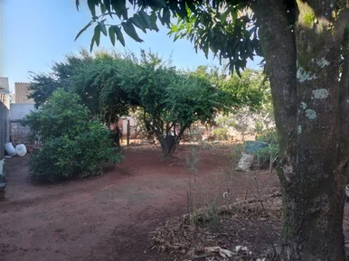 <strong></strong> ()