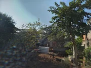 <strong></strong> ()