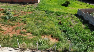 <strong></strong> ()