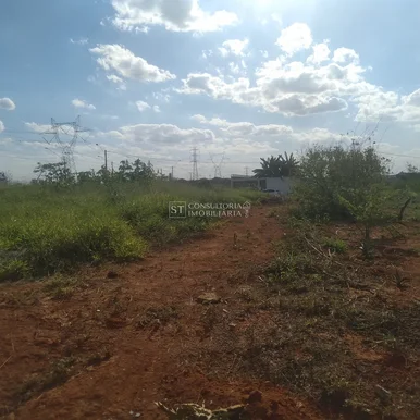 <strong></strong> ()