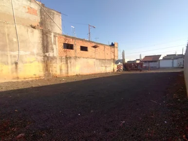 <strong></strong> ()