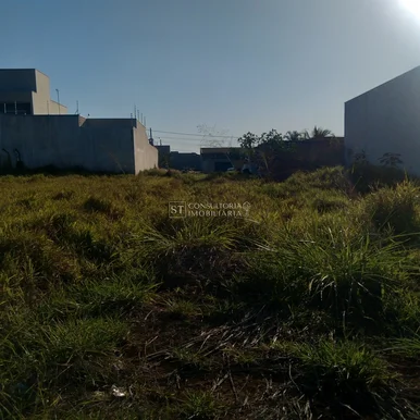 <strong></strong> ()