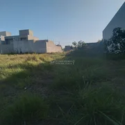 <strong></strong> ()