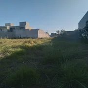 <strong></strong> ()