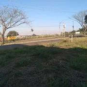 <strong></strong> ()