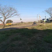 <strong></strong> ()