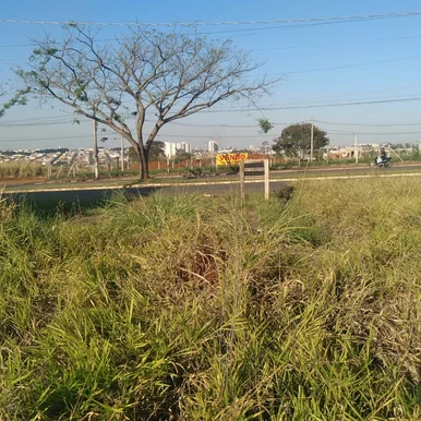 <strong></strong> ()