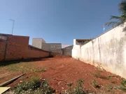 <strong></strong> ()