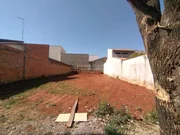 <strong></strong> ()