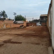 <strong></strong> ()