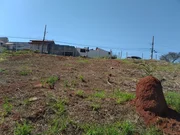 <strong></strong> ()