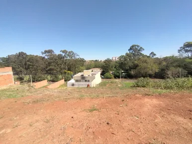 <strong></strong> ()